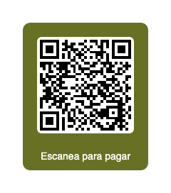 QR pago singles