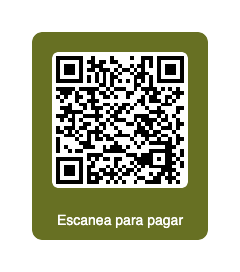 QR pago singles